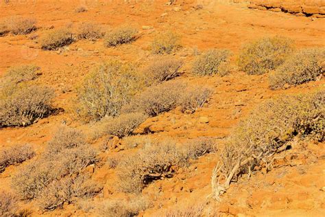 an orange desert landscape 35254975 Stock Photo at Vecteezy