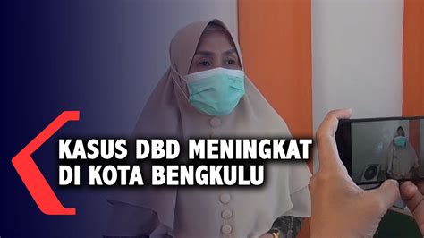 Berita Harian Kasus Dbd Meningkat Terbaru Hari Ini Kompas