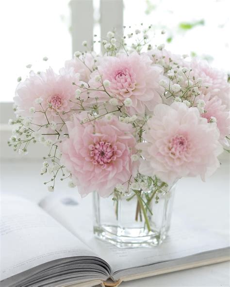 Картинки нежность: Топ фото • Klike.net