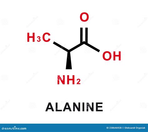 Alanine Chemical Formula. Alanine Chemical Molecular Structure. Vector ...