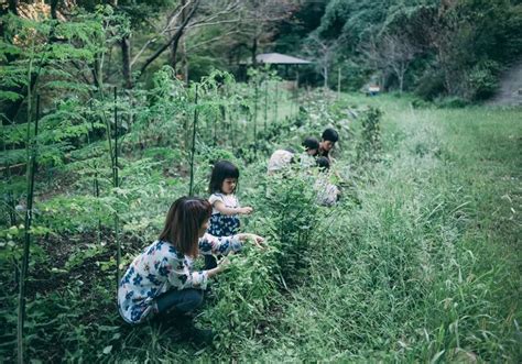 日本女子成全小三跟丈夫离婚，三个人过着一夫两妻的生活！