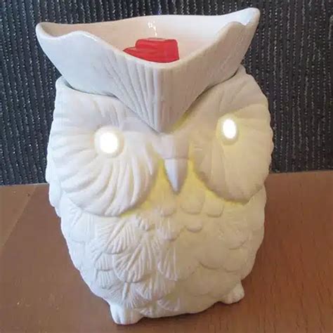 Whoot Owl Scentsy Warmer The Candle Boutique Independent Scentsy Consultant