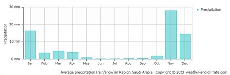 Check Average Rainfall by Month for Rabigh