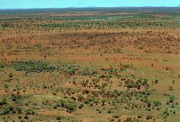 Gibson Desert | desert, Western Australia, Australia | Britannica.com