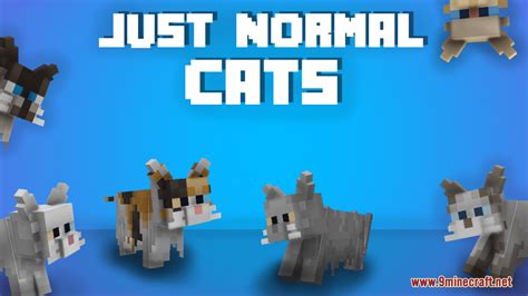 Just Normal Cats Resource Pack 1214 1201 Texture Pack