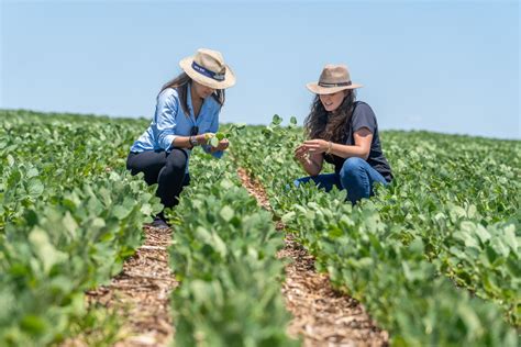 Congresso Nacional Das Mulheres Do Agroneg Cio Syngenta Digital