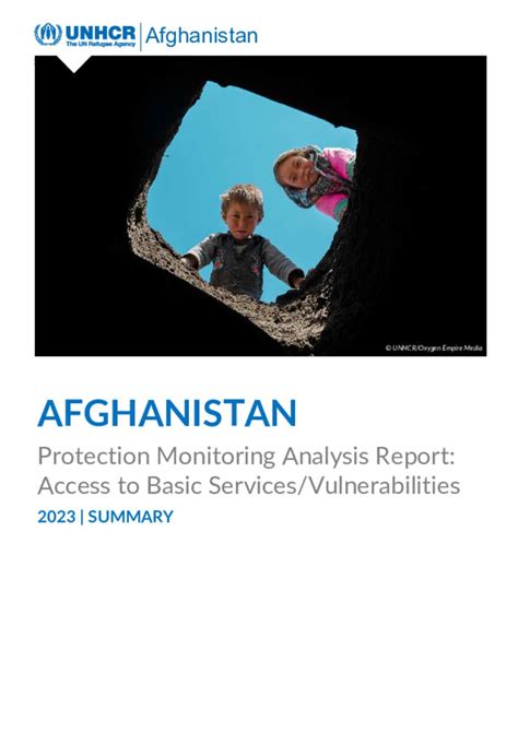 Document Afghanistan Protection Monitoring Summary