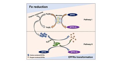 Enhanced Formation of 6PPD-Q during the Aging of Tire Wear Particles in ...
