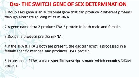 Sex Determination In Drosophila Human Pptx Reproductive Health Diseases And Conditions