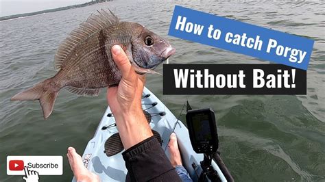 Catching Fluke And Porgy From Kayak In Long Island Sound Saltwater