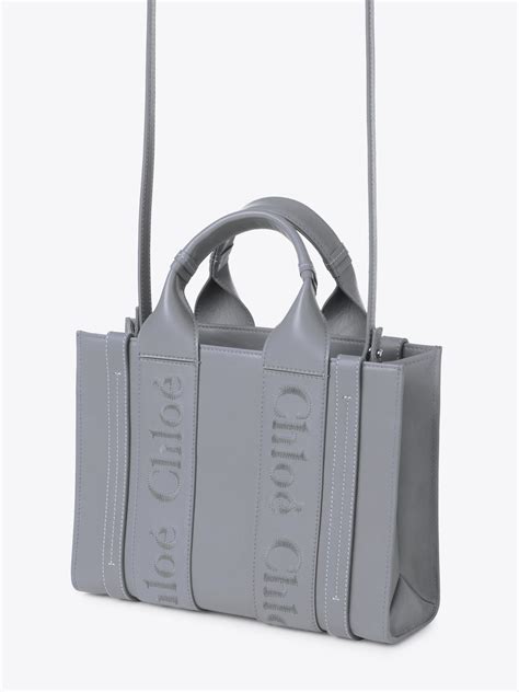 Chlo Small Woody Tote Bag In Soft Leather Chlo Tw