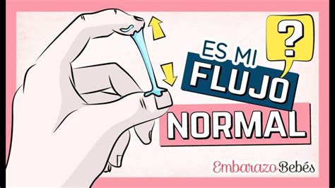 Descubre Los Diversos Tipos De Flujo Antes De La Regla Menstrual