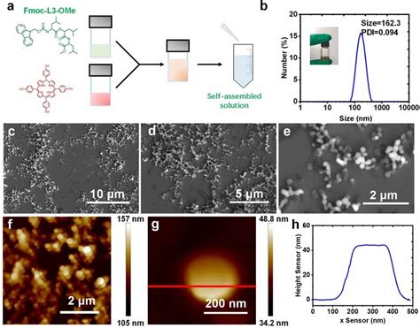 Fabrication And Characterization Of Peptide Self Assembled