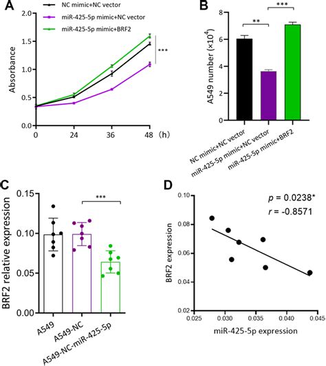 Mir 425 5p Inhibits Lung Cancer Cell Growth By Downregulating Brf2 A Download Scientific