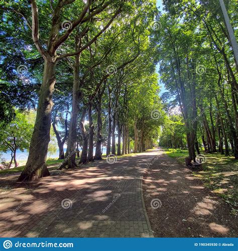 Seaside Promenade And Bike Path Stock Photo Image Of Forest Water