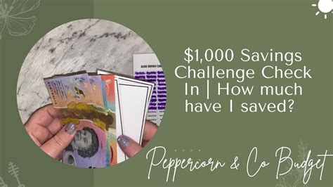 Savings Challenge Check In How Much Have I Saved Low Income