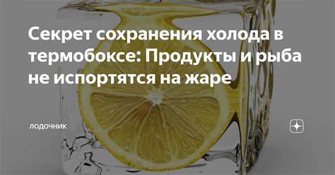 Секрет сохранения холода в термобоксе: Продукты и рыба не испортятся на ...