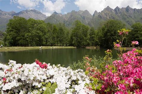 Ristorante Lago delle Rose - Consulta la disponibilità e i prezzi