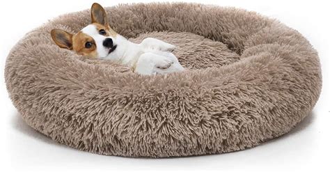 Orthopedic Dog Bed Comfortable Donut Cuddler Round Dog Bed Ultra Soft Washable Dog and Cat ...