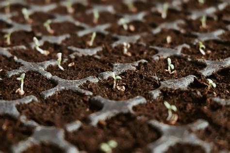 Vertical Gardening A Step By Step Guide To Growing Organic Vegetables And Fruit Without A Yard Backyard Farming Homesteading 8