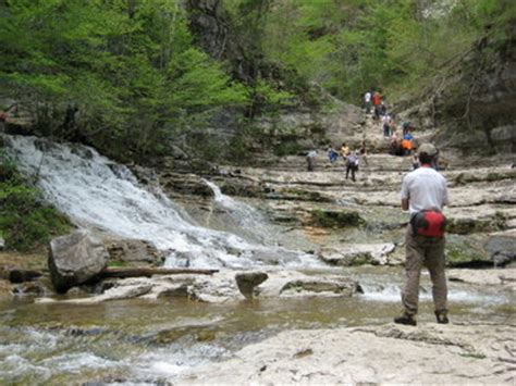 Walls of Jericho » Wild South