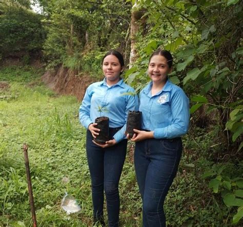 Estudiantes realizan la actividad de reforestaciòn en diferentes