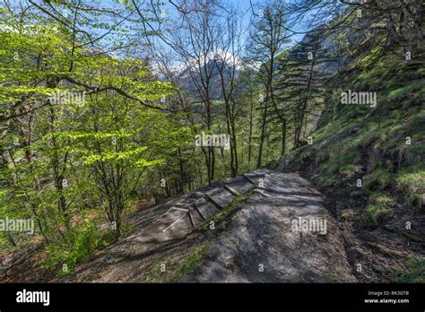 Hiking in Swiss alps Stock Photo - Alamy