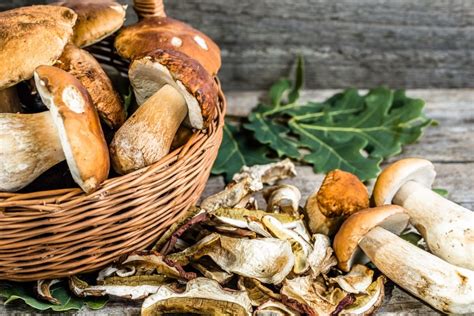 Come Cucinare I Funghi Secchi Consigli Per Ricette Strepitose