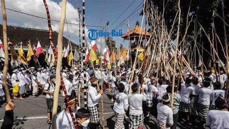 Potret Tradisi Mekotek Di Desa Munggu Badung Bali Saat Hari Raya