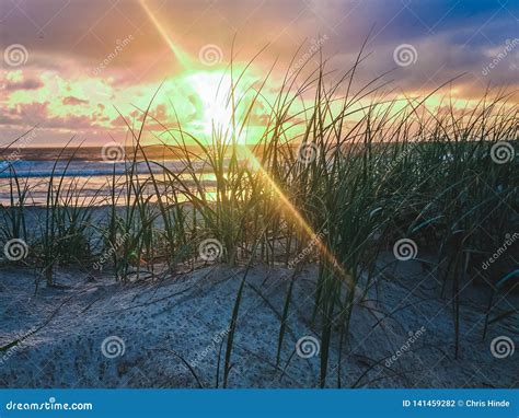 Sunrise at beach stock photo. Image of ocean, fish, nature - 141459282