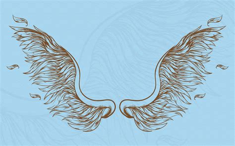 Angel Wings Hand Drawn Set Decorative Illustrations ~ Creative Market