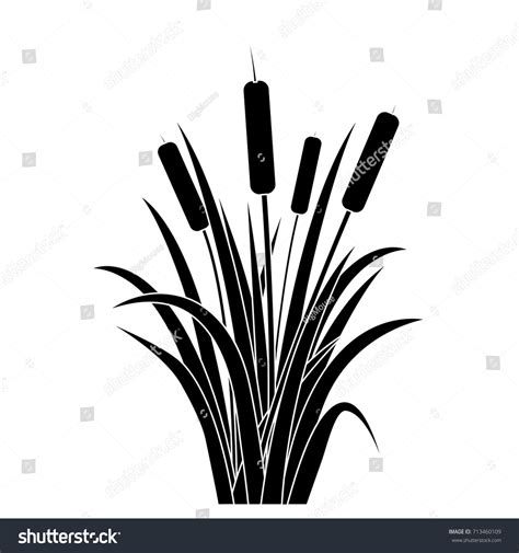 Silhouette Black Water Reed Plant Cattails Stock Vector 713460109 Shutterstock