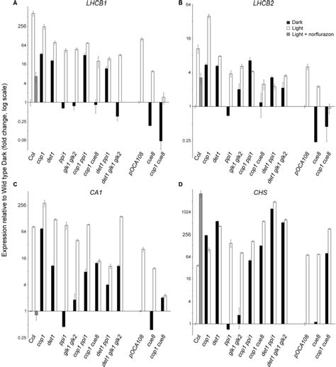 Quantitative Real Time Rt Pcr Analysis Confirming The Suppression By