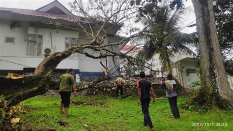 Hujan Deras Dan Angin Pohon Besar Tumbang Timpa Atap Meuligoe Bupati