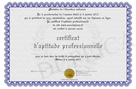 Certificat D Aptitude Professionnelle