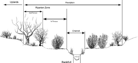 Idealized Cross Section Of A Downcut Stream And Associated Floodplain