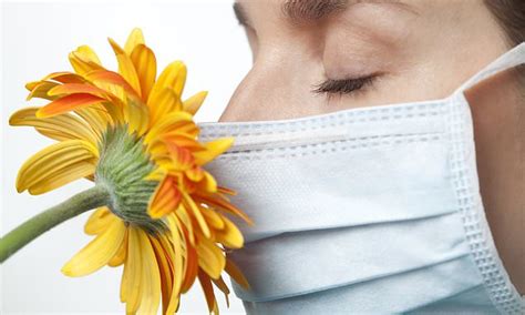Losing Your Sense Of Smell Can Put You Off Sex Study Says Daily Mail Online