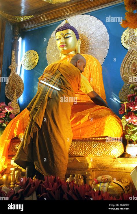 India, Bodhgaya: buddhist monk dressing buddha statue in the Mahabodhi ...