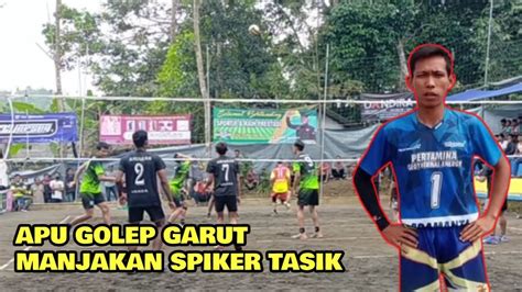 Di Manjakan Setter Senior APU Golep Garut Pani Tojo Marko Tole Dkk