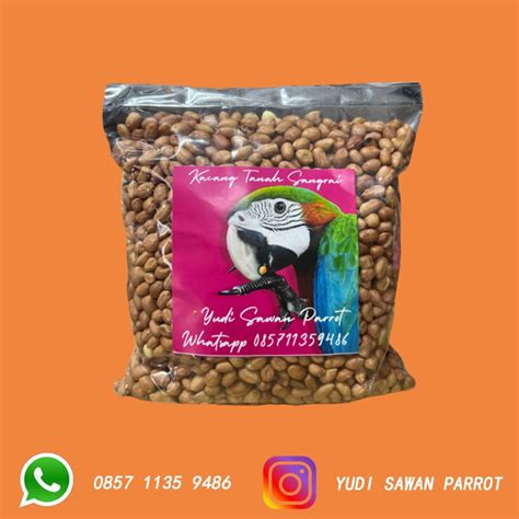 Jual Kacang Tanah Sangrai Makanan Pakan Burung Kakatua Macaw Afgrey