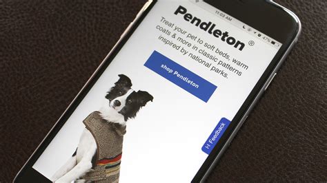 Petsmart Takes On Amazon With Launch Of Same Day Delivery And