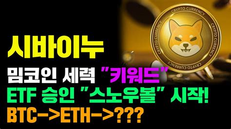 시바이누 긴급 밈코인 Etf 승인기대감 100000 대폭등 임박 비트코인 이더리움 Etf 승인기대감 다음은