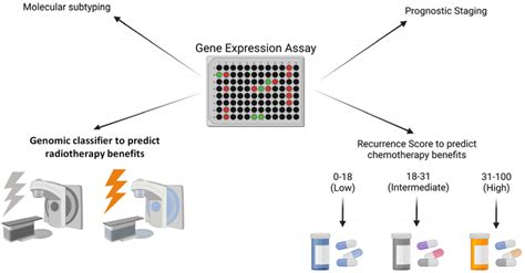 Schematic Illustrating The Use Of A Generic Genomic Assay To Help With Download Scientific