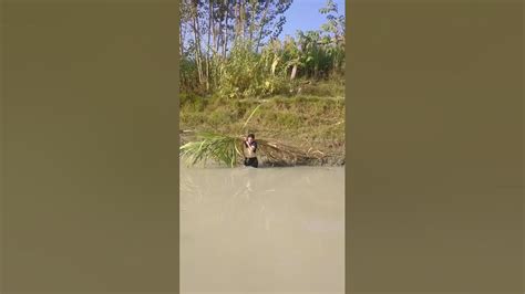 Sugar Cane Fields Villagelife Youtube