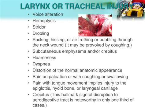 Ppt Neck Trauma Powerpoint Presentation Free Download Id 2163351