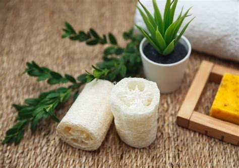 How Eco Friendly Is Bamboo Toilet Paper