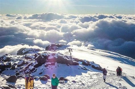 Tour Mt Kilimanjaro Más Alto De áfrica Caminata 6 Días Ruta Rongai