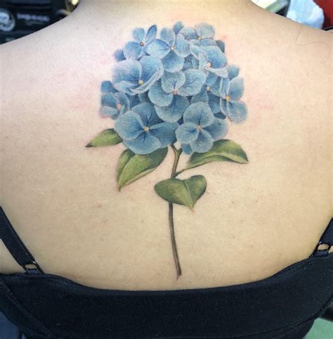 A blue hydrangea my first tattoo ever! | Hydrangea tattoo, Orchid ...