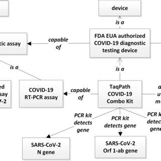 CIDO Modeling Of AA Variants And Mutations CIDO Represents AA Variants