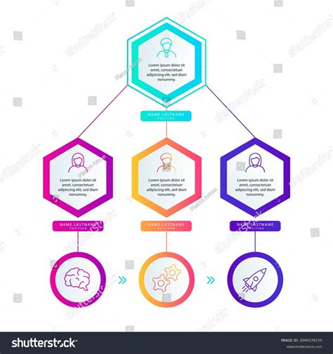 Organizational Chart Infographic Design Template Chart Stock Vector ...